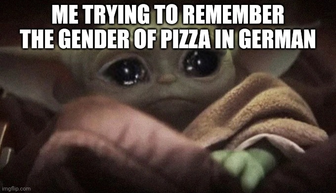 Crying Baby Yoda | ME TRYING TO REMEMBER THE GENDER OF PIZZA IN GERMAN | image tagged in crying baby yoda | made w/ Imgflip meme maker