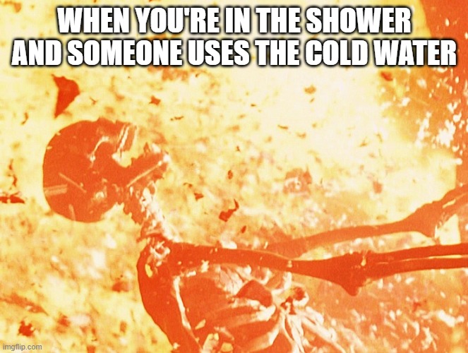 Fire skeleton | WHEN YOU'RE IN THE SHOWER AND SOMEONE USES THE COLD WATER | image tagged in fire skeleton,memes | made w/ Imgflip meme maker