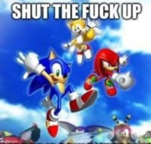 sonic heroes stfu | image tagged in sonic heroes stfu | made w/ Imgflip meme maker