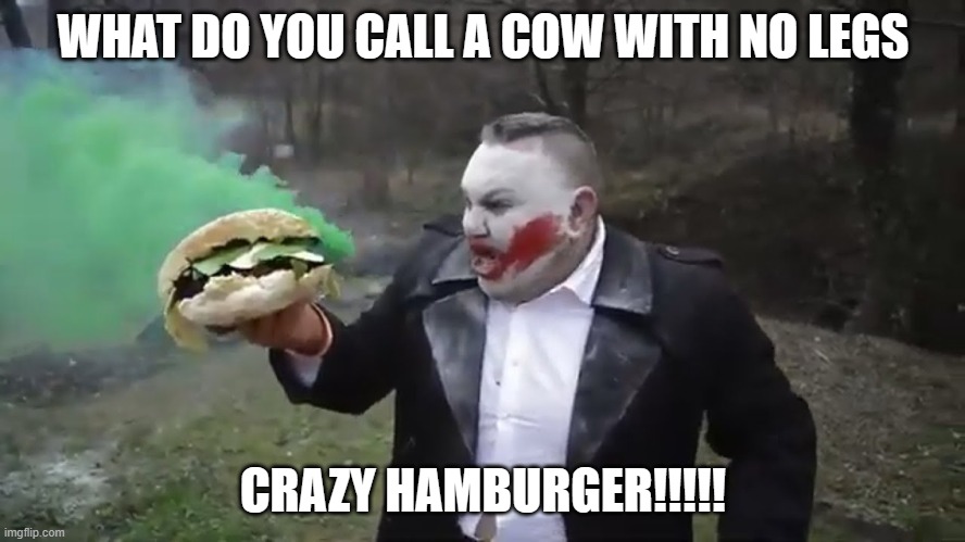 crazy hamburger memes | WHAT DO YOU CALL A COW WITH NO LEGS; CRAZY HAMBURGER!!!!! | image tagged in funny memes | made w/ Imgflip meme maker