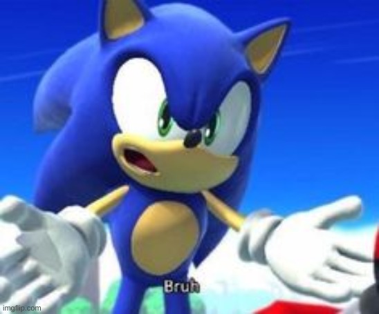 sonic bruh | image tagged in sonic bruh | made w/ Imgflip meme maker