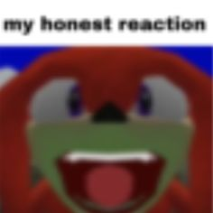 knuckles my honest reaction Blank Meme Template