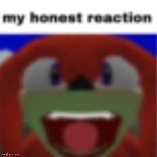 knuckles my honest reaction | image tagged in knuckles my honest reaction | made w/ Imgflip meme maker