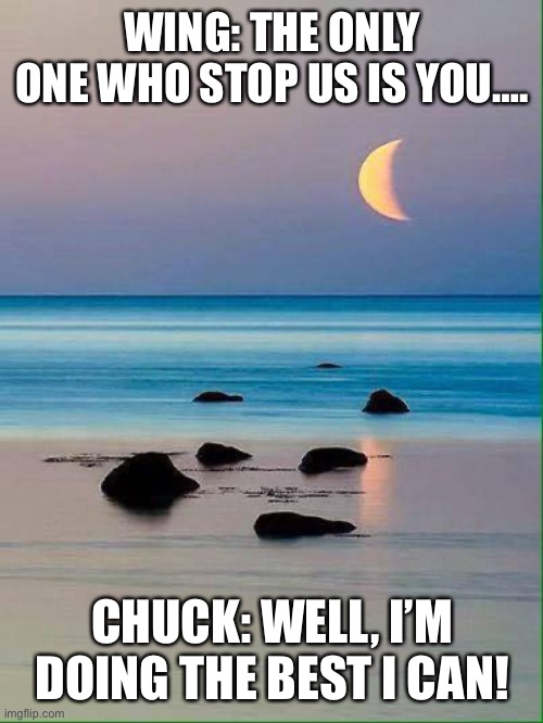 Chuck chicken movie argument scene | WING: THE ONLY ONE WHO STOP US IS YOU…. CHUCK: WELL, I’M DOING THE BEST I CAN! | image tagged in shore,argument | made w/ Imgflip meme maker