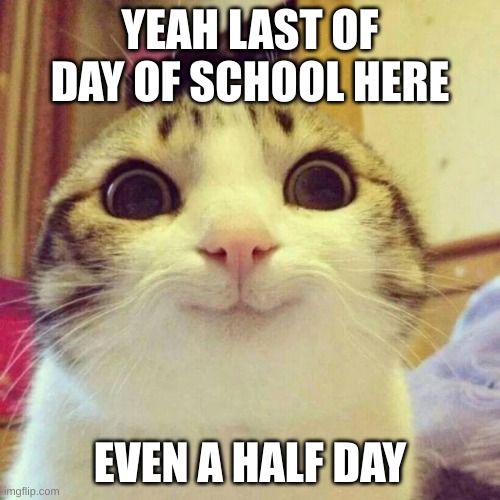 Smiling Cat Meme | YEAH LAST OF DAY OF SCHOOL HERE; EVEN A HALF DAY | image tagged in memes,smiling cat | made w/ Imgflip meme maker