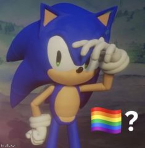 sonic gay | image tagged in sonic gay | made w/ Imgflip meme maker