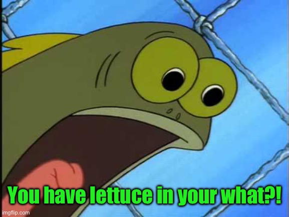 You what?! | You have lettuce in your what?! | image tagged in you what | made w/ Imgflip meme maker