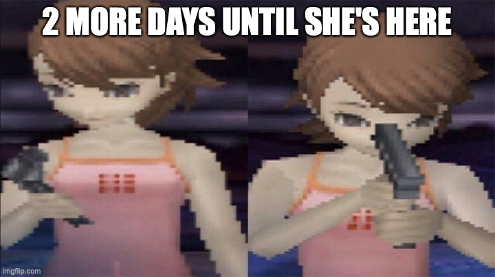 why | 2 MORE DAYS UNTIL SHE'S HERE | image tagged in why | made w/ Imgflip meme maker