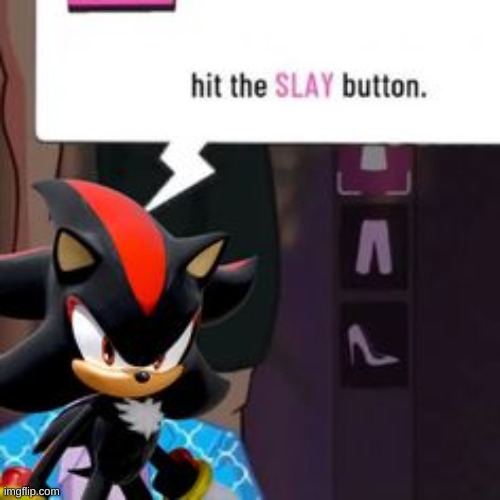 shadow hit the slay button | image tagged in shadow hit the slay button | made w/ Imgflip meme maker