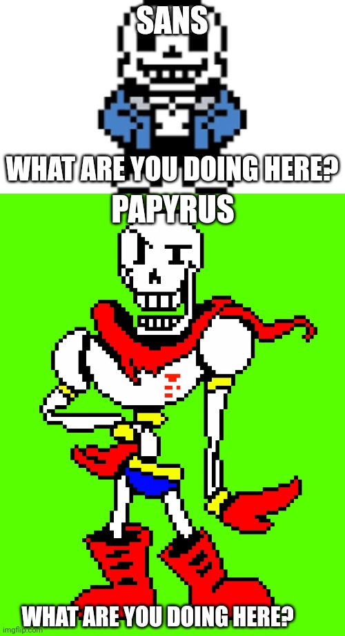 Sans | SANS; PAPYRUS; WHAT ARE YOU DOING HERE? WHAT ARE YOU DOING HERE? | image tagged in undertale | made w/ Imgflip meme maker