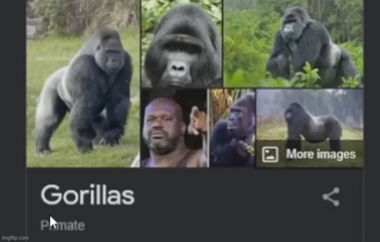 . | made w/ Imgflip meme maker