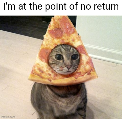 pizza cat | I'm at the point of no return | image tagged in pizza cat | made w/ Imgflip meme maker