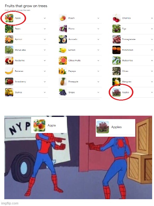 I googled "fruits that grow on trees" and saw this | image tagged in funny,apple,meme,spiderman,idk,why are you reading the tags | made w/ Imgflip meme maker