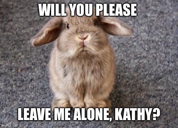 Kathy Hochul Bunny Rabbity | WILL YOU PLEASE; LEAVE ME ALONE, KATHY? | image tagged in rabbit | made w/ Imgflip meme maker