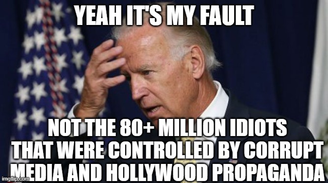 Joe Biden worries | YEAH IT'S MY FAULT NOT THE 80+ MILLION IDIOTS THAT WERE CONTROLLED BY CORRUPT MEDIA AND HOLLYWOOD PROPAGANDA | image tagged in joe biden worries | made w/ Imgflip meme maker