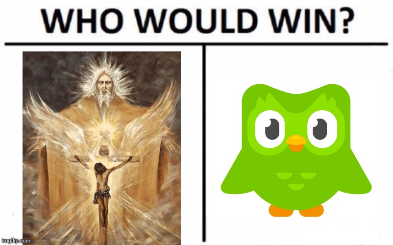 Who Would Win? Meme | image tagged in memes,who would win | made w/ Imgflip meme maker