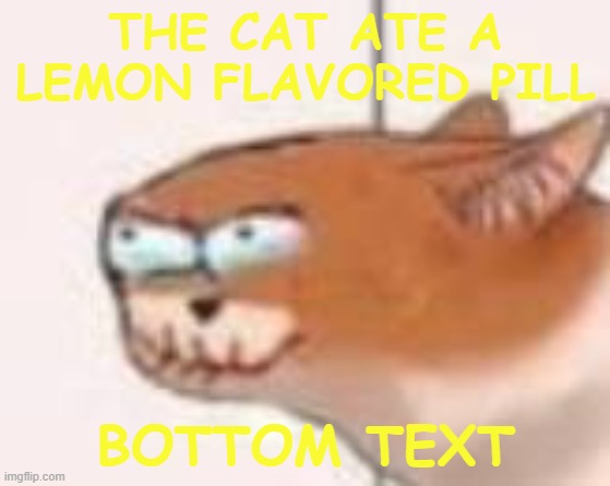 cat that ate a pill that tasted like lemon | THE CAT ATE A LEMON FLAVORED PILL; BOTTOM TEXT | image tagged in cat that ate a pill that tasted like lemon | made w/ Imgflip meme maker