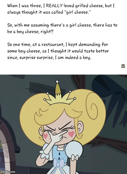 Star Butterfly getting very frustrated | image tagged in star butterfly getting very frustrated,grilled cheese,girl,boy,cheese,dumb kids | made w/ Imgflip meme maker