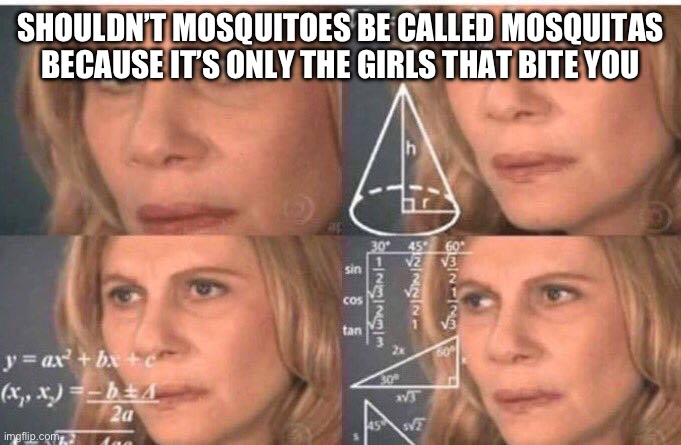 Math lady/Confused lady | SHOULDN’T MOSQUITOES BE CALLED MOSQUITAS BECAUSE IT’S ONLY THE GIRLS THAT BITE YOU | image tagged in math lady/confused lady | made w/ Imgflip meme maker