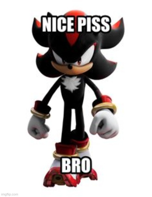 ive been shitposting for over an hour now | image tagged in shadow nice piss bro | made w/ Imgflip meme maker