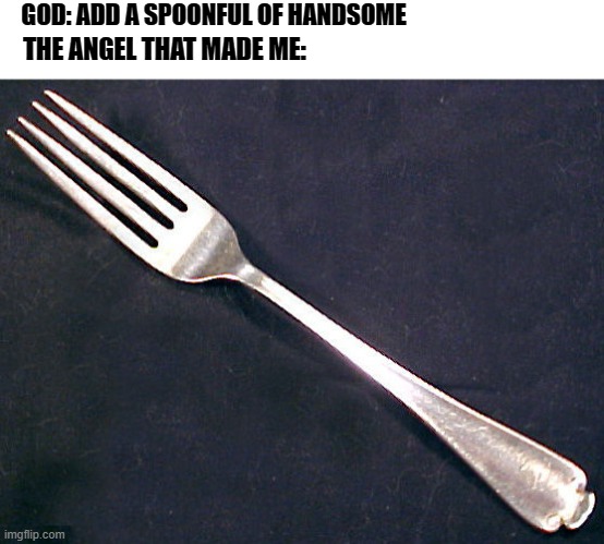 need I say more? | GOD: ADD A SPOONFUL OF HANDSOME; THE ANGEL THAT MADE ME: | image tagged in blank white template,fork | made w/ Imgflip meme maker