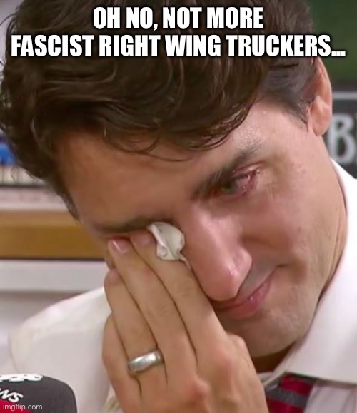 Justin Trudeau Crying | OH NO, NOT MORE FASCIST RIGHT WING TRUCKERS… | image tagged in justin trudeau crying | made w/ Imgflip meme maker