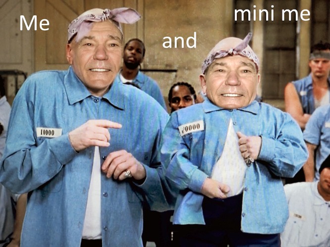 me and mini me | image tagged in me,and mini me,kewlew | made w/ Imgflip meme maker