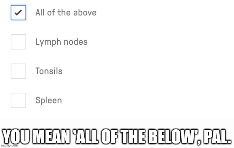 YOU MEAN 'ALL OF THE BELOW', PAL. | image tagged in test,all of the above,below | made w/ Imgflip meme maker