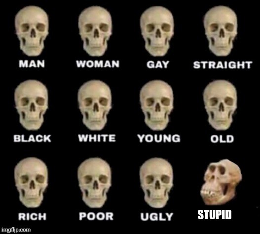 idiot skull | STUPID | made w/ Imgflip meme maker