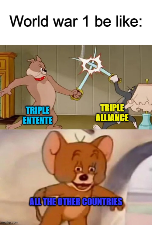 Apparently, these 2 trios caused most action in WW1... | World war 1 be like:; TRIPLE ALLIANCE; TRIPLE ENTENTE; ALL THE OTHER COUNTRIES | image tagged in tom and spike fighting | made w/ Imgflip meme maker