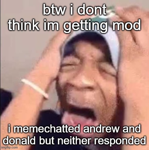 the | btw i dont think im getting mod; i memechatted andrew and donald but neither responded | image tagged in the | made w/ Imgflip meme maker