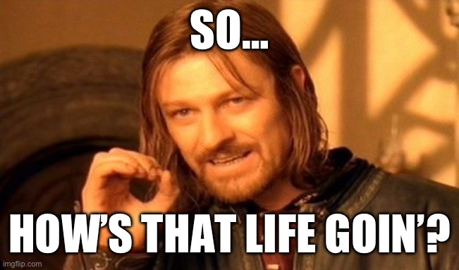 h. | SO…; HOW’S THAT LIFE GOIN’? | image tagged in memes,one does not simply | made w/ Imgflip meme maker