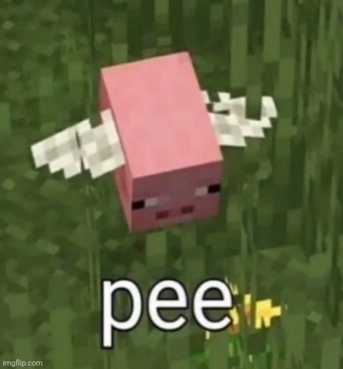 Pee | image tagged in pee | made w/ Imgflip meme maker