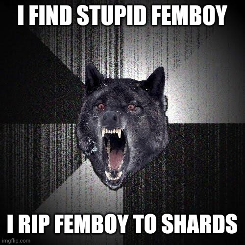 Insanity Wolf | I FIND STUPID FEMBOY; I RIP FEMBOY TO SHARDS | image tagged in memes,insanity wolf,offensive,femboy deaths | made w/ Imgflip meme maker