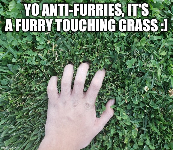 How to touch grass Meme Generator - Imgflip