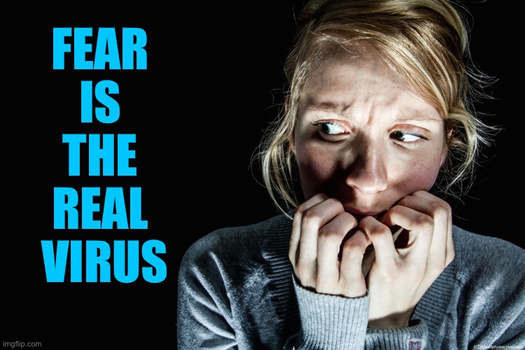 Fear  is  the  Real  Virus | FEAR 
IS 
THE 
REAL 
VIRUS | image tagged in fear | made w/ Imgflip meme maker