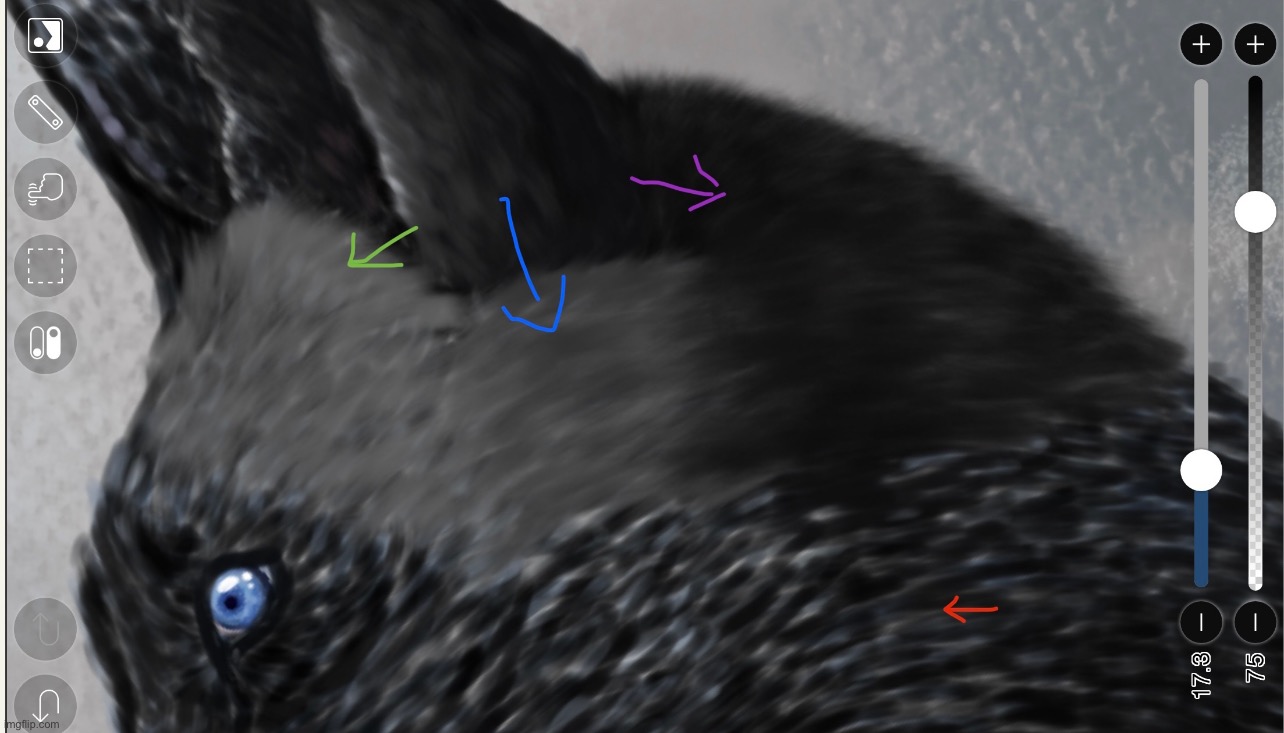 Ibispaintx Fur tutorial for anyone who wants to try it (in comments | made w/ Imgflip meme maker