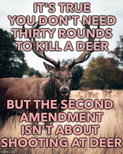 The Second Amendment | IT'S TRUE YOU DON'T NEED THIRTY ROUNDS TO KILL A DEER; BUT THE SECOND 
AMENDMENT ISN'T ABOUT 
SHOOTING AT DEER | image tagged in deer | made w/ Imgflip meme maker
