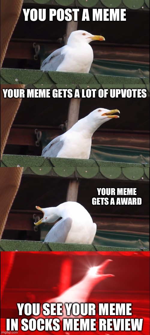 Socks meme review | YOU POST A MEME; YOUR MEME GETS A LOT OF UPVOTES; YOUR MEME GETS A AWARD; YOU SEE YOUR MEME IN SOCKS MEME REVIEW | image tagged in memes,inhaling seagull | made w/ Imgflip meme maker