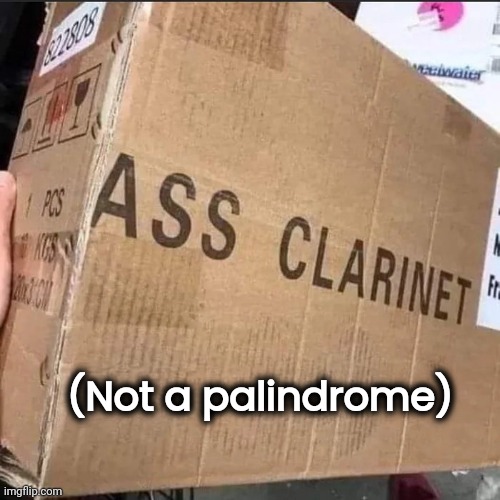 (Not a palindrome) | made w/ Imgflip meme maker