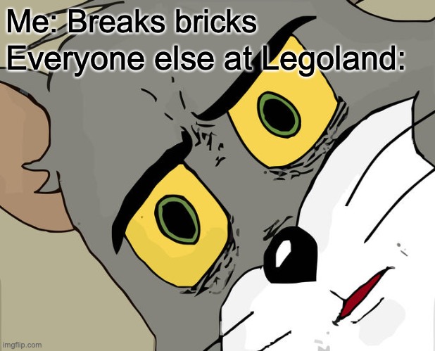 I have a good felling about this meme... | Me: Breaks bricks; Everyone else at Legoland: | image tagged in memes,unsettled tom | made w/ Imgflip meme maker