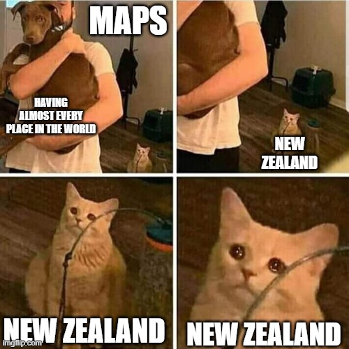 They always forget him | MAPS; HAVING ALMOST EVERY PLACE IN THE WORLD; NEW ZEALAND; NEW ZEALAND; NEW ZEALAND | image tagged in sad cat holding dog,maps,new zealand,i think i forgot something | made w/ Imgflip meme maker