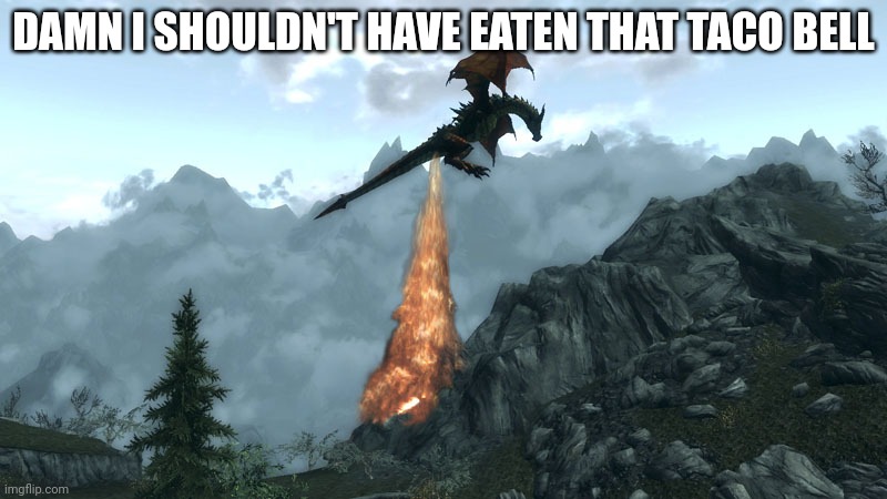 farting Skyrim Dragon | DAMN I SHOULDN'T HAVE EATEN THAT TACO BELL | image tagged in farting skyrim dragon | made w/ Imgflip meme maker