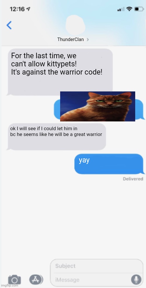 No Kittypets Allowed | ThunderClan; For the last time, we can't allow kittypets! It's against the warrior code! ok I will see if I could let him in bc he seems like he will be a great warrior; yay | image tagged in blank messages template,warrior cats,warriors | made w/ Imgflip meme maker