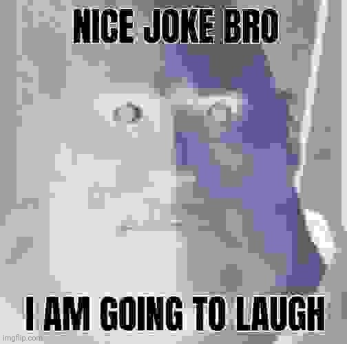 Nice joke bro, i am going to laugh | image tagged in nice joke bro i am going to laugh | made w/ Imgflip meme maker