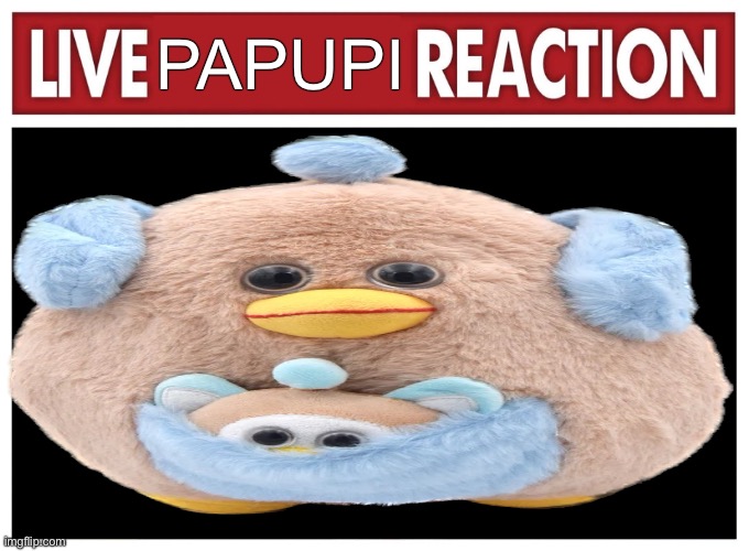 PAPUPI | made w/ Imgflip meme maker