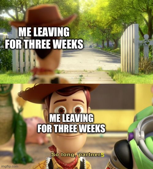 See you in three weeks! | ME LEAVING FOR THREE WEEKS; ME LEAVING FOR THREE WEEKS; s | image tagged in so long partner,cya,why are you reading the tags,i see you,stop reading the tags,if you read this tag you are cursed | made w/ Imgflip meme maker