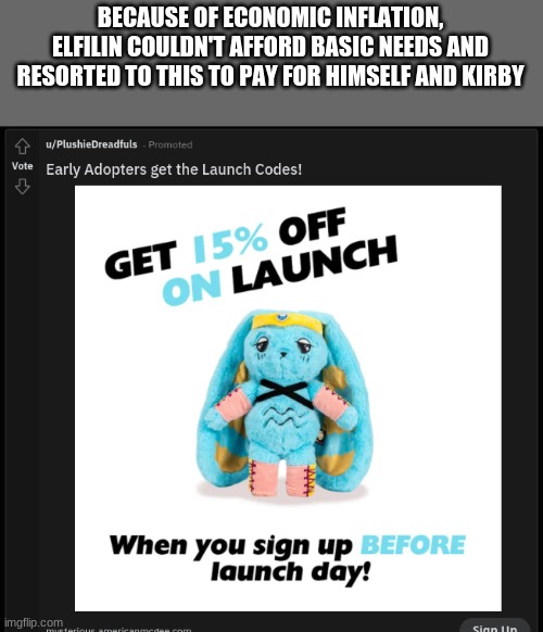 BECAUSE OF ECONOMIC INFLATION, ELFILIN COULDN'T AFFORD BASIC NEEDS AND RESORTED TO THIS TO PAY FOR HIMSELF AND KIRBY | made w/ Imgflip meme maker