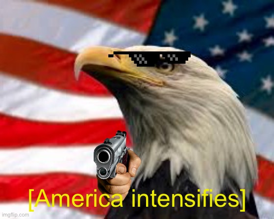 Murica Patriotic Eagle | [America intensifies] | image tagged in murica patriotic eagle | made w/ Imgflip meme maker