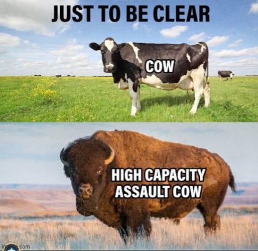 Cows of our planet | image tagged in cow,bison,assault | made w/ Imgflip meme maker